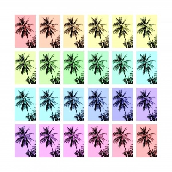 Palm Tree Collage 3 by Lexa Harpell